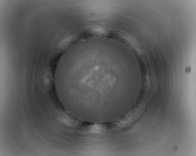 X0000102340320200808011147