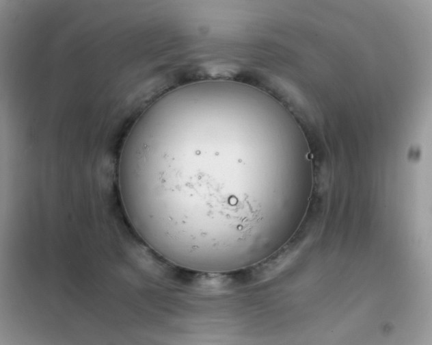 X0000102340321200808011146