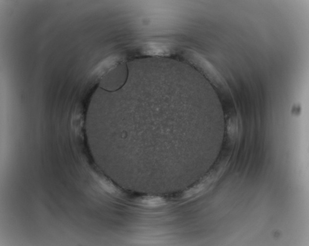 X0000102340322200808011146