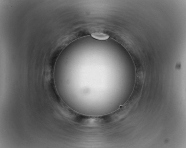 X0000102340323200808011146