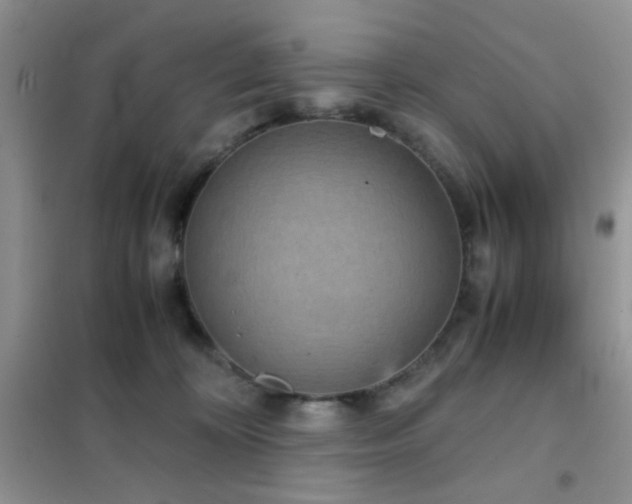 X0000102340324200808011146