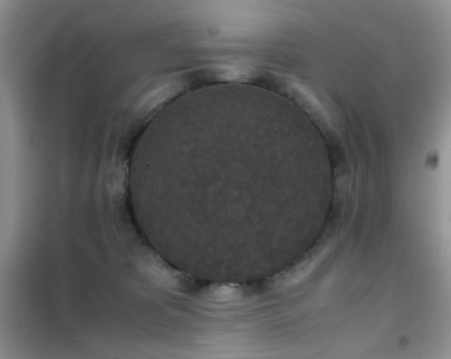 X0000102340325200808011146