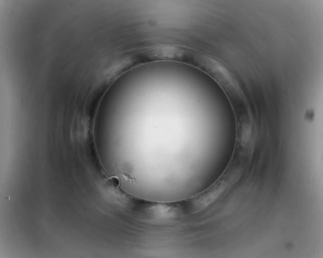 X0000102340326200808011146