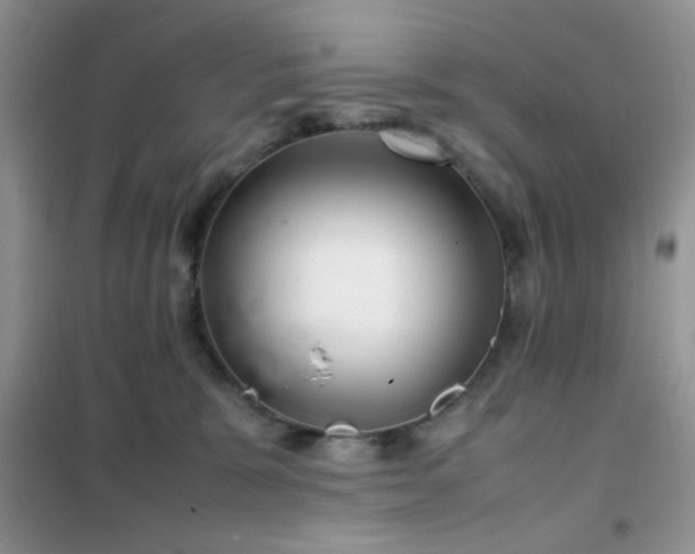 X0000102340327200808011146