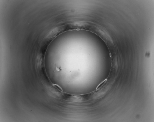 X0000102340328200808011146