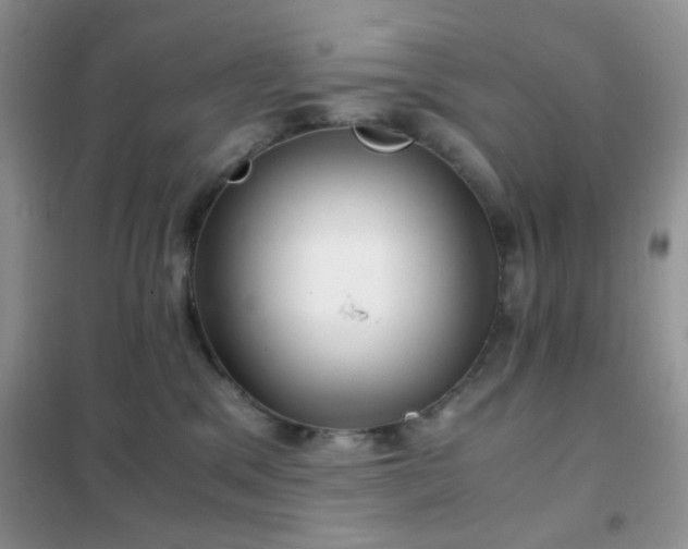 X0000102340329200808011146