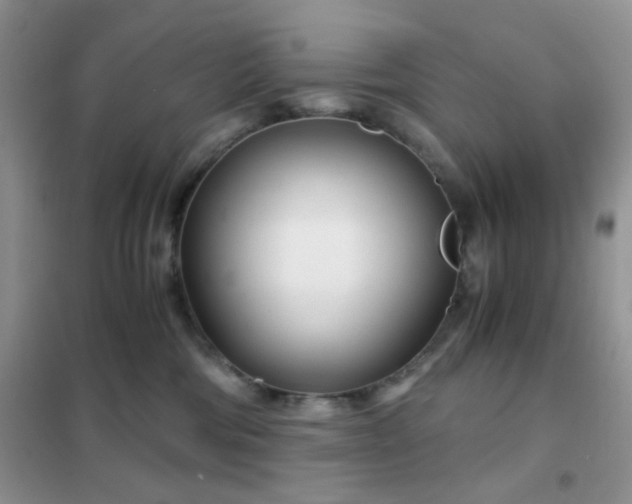 X0000102340330200808011146