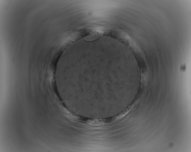 X0000102340331200808011146