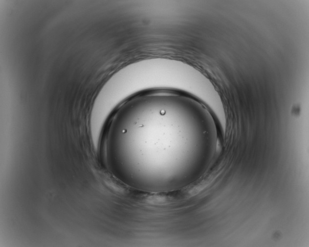 X0000102340332200808011146