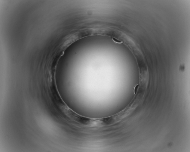 X0000102340333200808011146