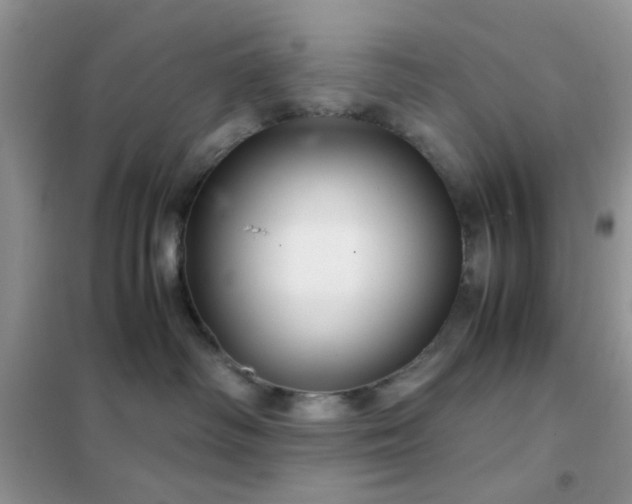 X0000102340334200808011146