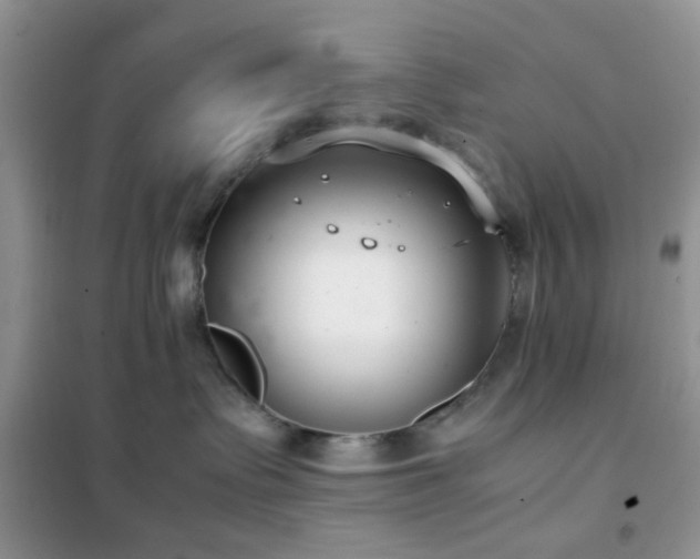 X0000102340335200808011146