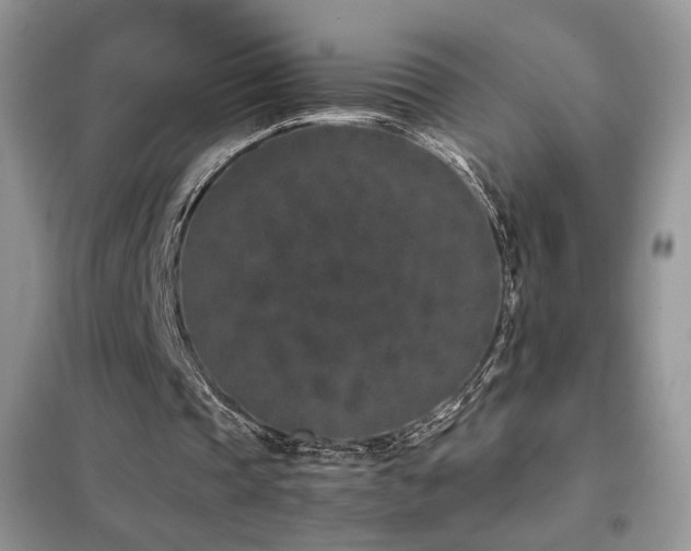 X0000102340337200808011146