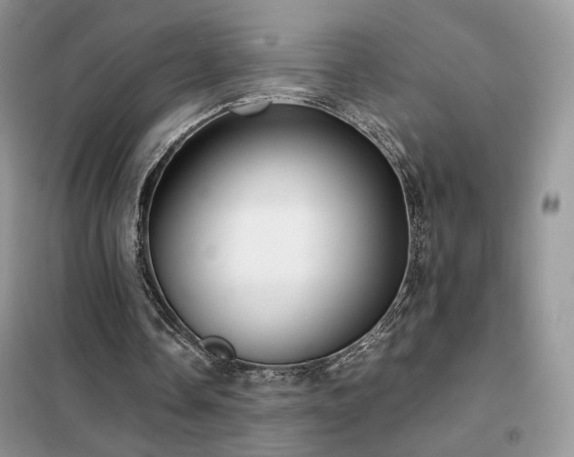 X0000102340338200808011146