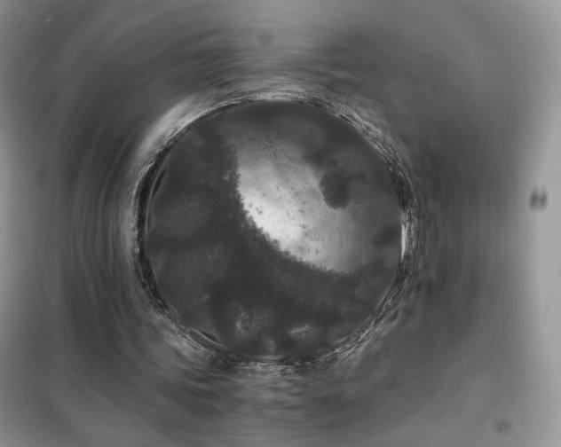 X0000102340339200808011146