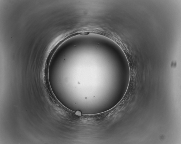 X0000102340340200808011146