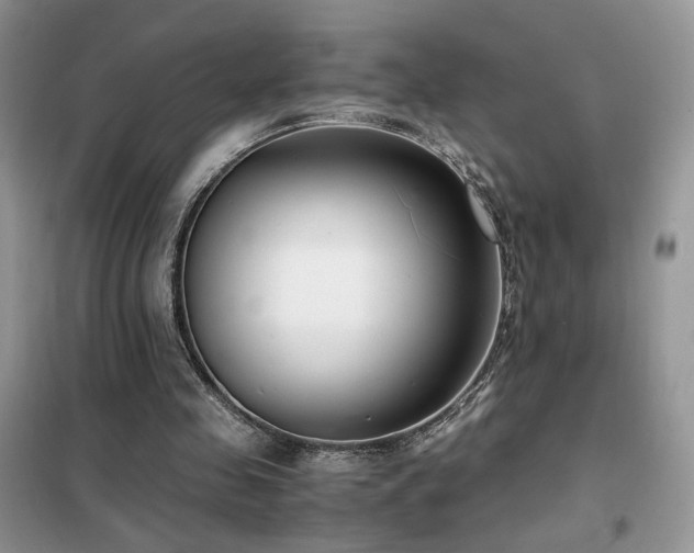 X0000102340341200808011146