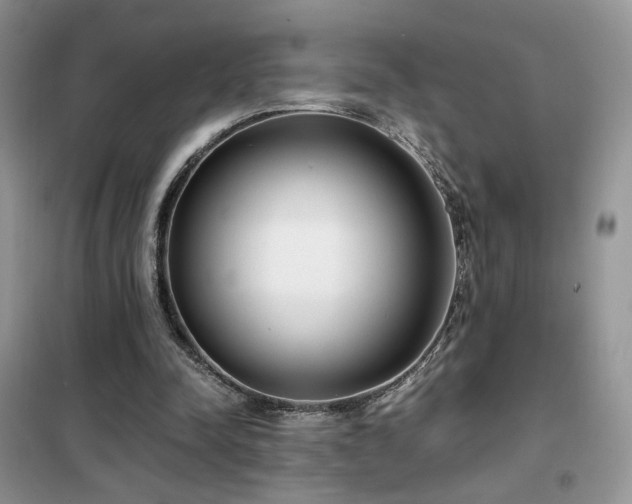 X0000102340342200808011146