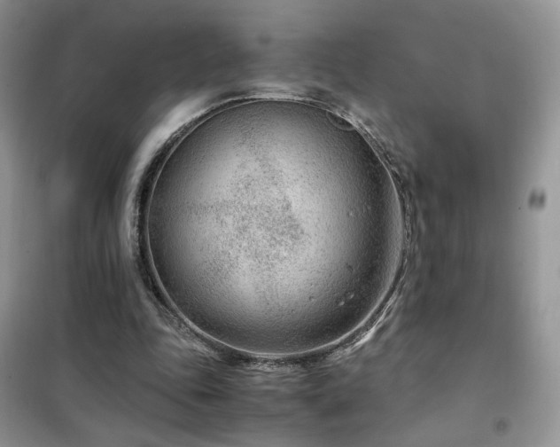 X0000102340343200808011146