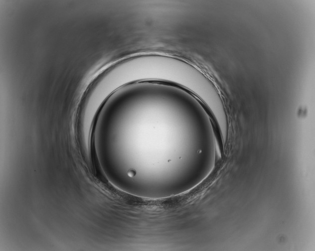 X0000102340344200808011146