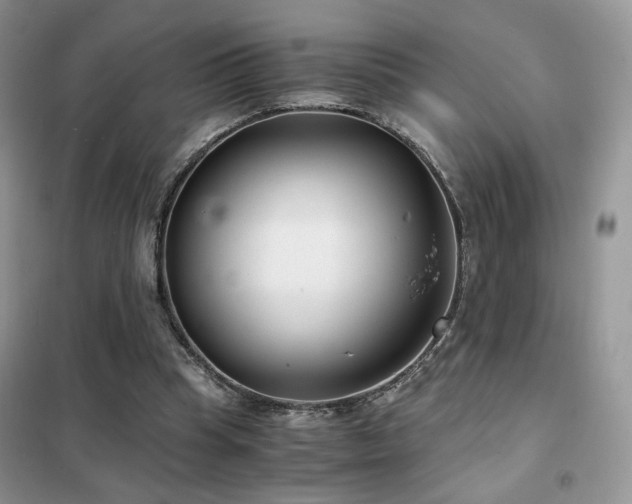 X0000102340345200808011146