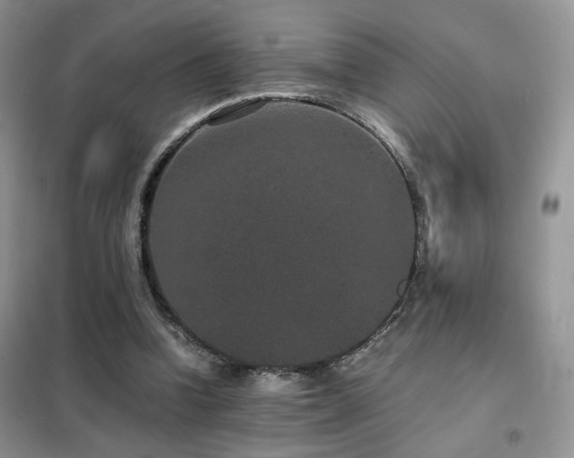 X0000102340346200808011146