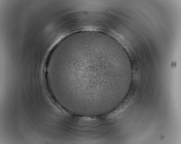 X0000102340347200808011146