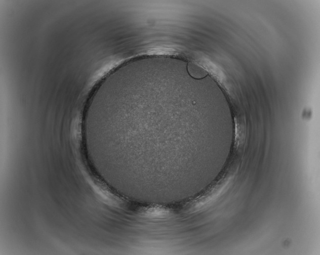 X0000102340348200808011146