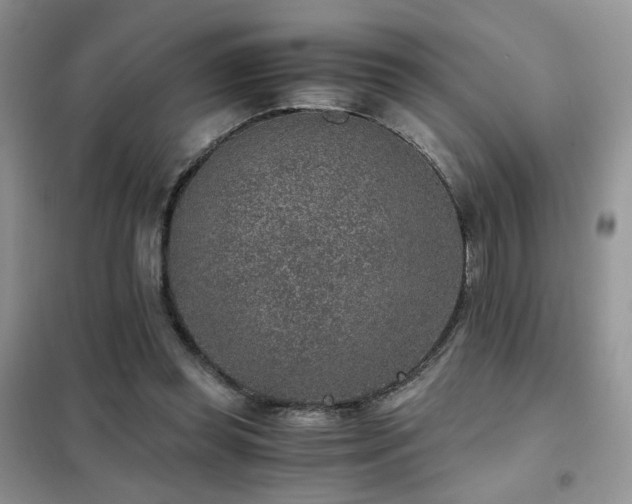 X0000102340349200808011146