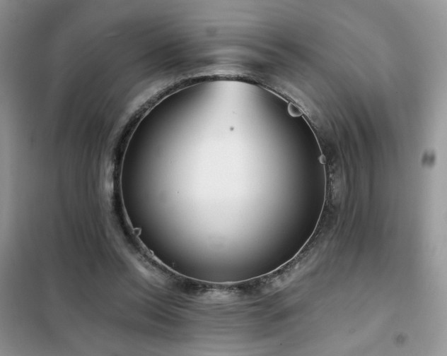 X0000102340350200808011146