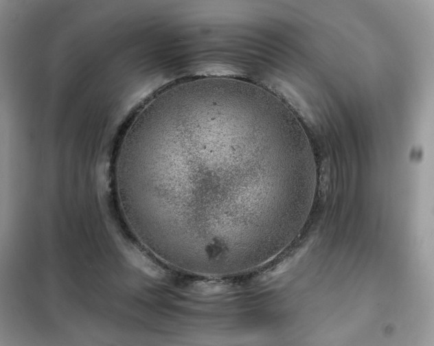 X0000102340351200808011146