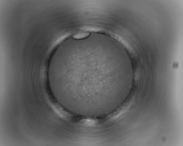 X0000102340352200808011146