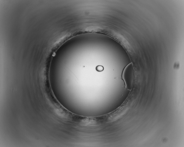 X0000102340354200808011146