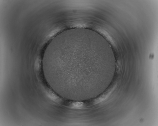 X0000102340355200808011146