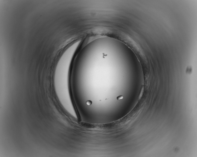 X0000102340356200808011146