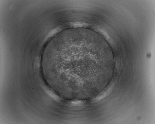 X0000102340357200808011146