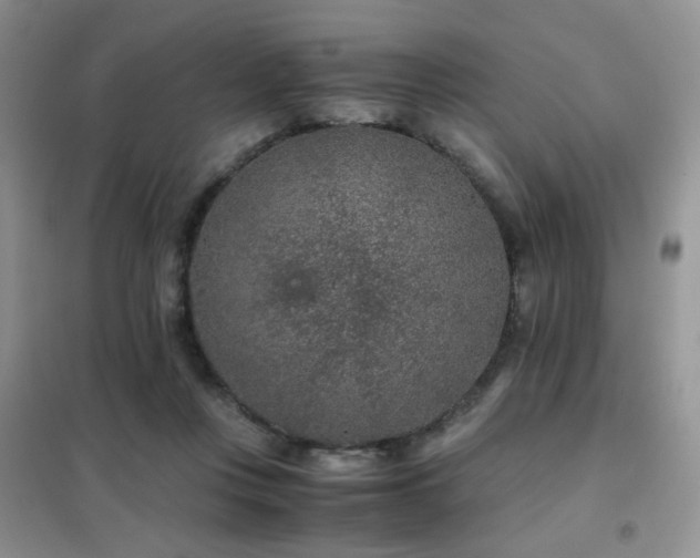 X0000102340359200808011146