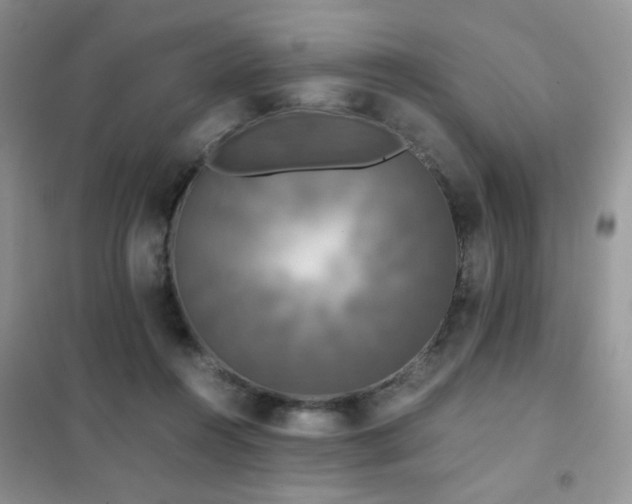 X0000102340360200808011146