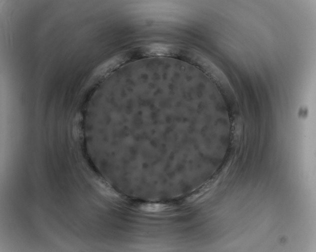 X0000102340361200808011146