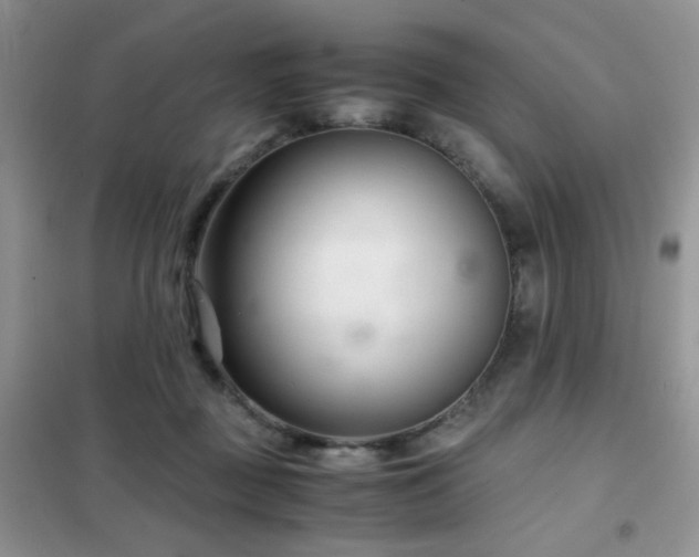 X0000102340363200808011146