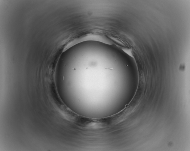 X0000102340364200808011146