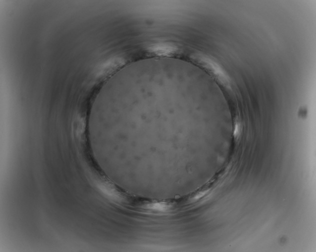 X0000102340365200808011146