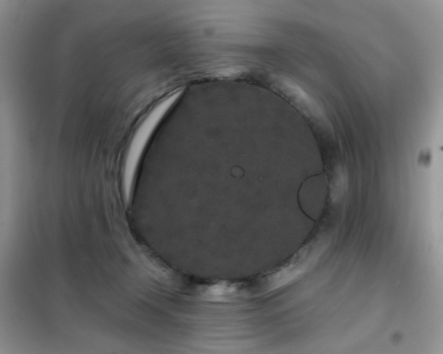 X0000102340366200808011146