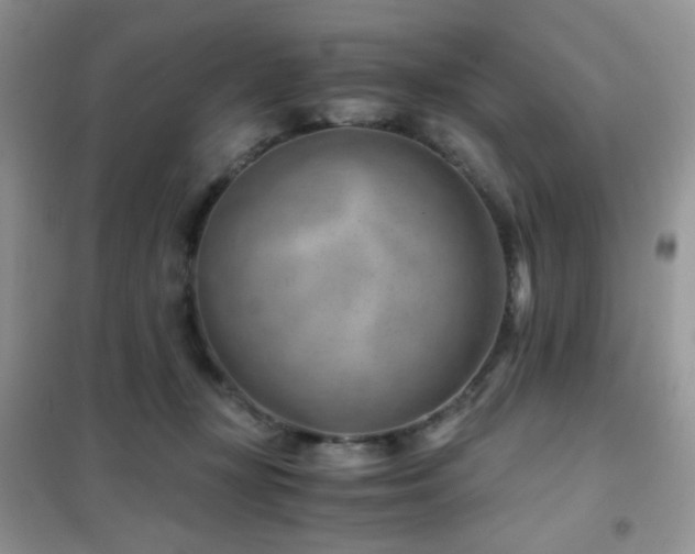 X0000102340367200808011146