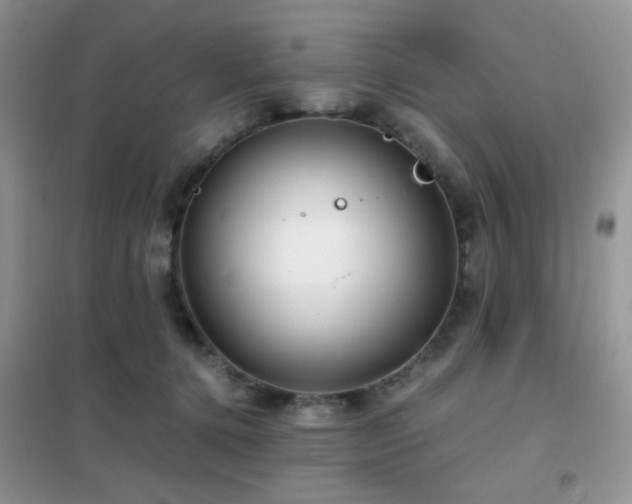 X0000102340368200808011146