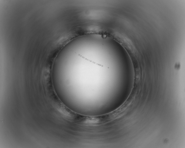 X0000102340369200808011146