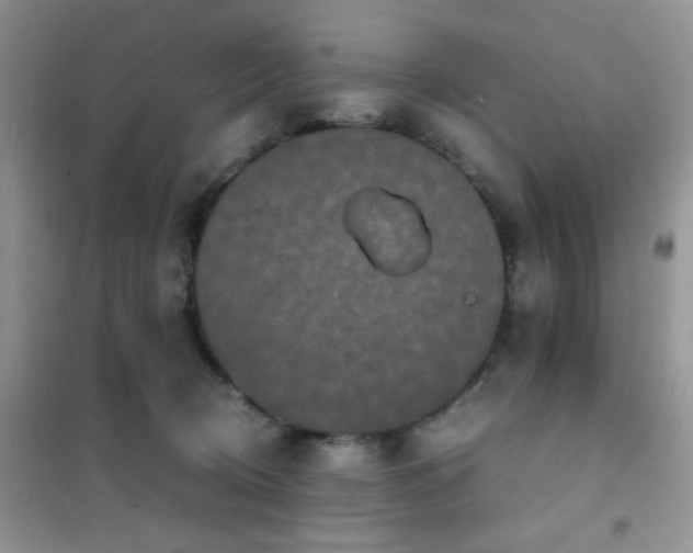 X0000102340370200808011146