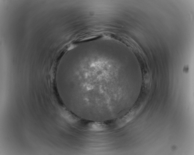 X0000102340372200808011146