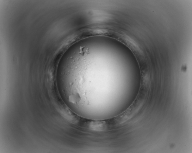 X0000102340373200808011146