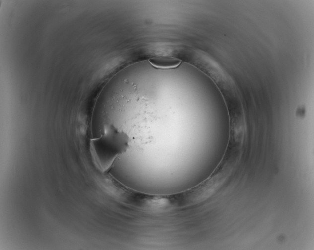 X0000102340374200808011146